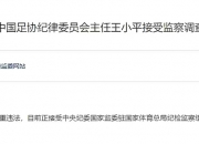 乐动体育在线-足协原纪律委员会主任王小平一审获刑10年6个月罚70万的简单介绍