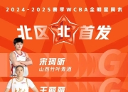 乐动体育登录-WCBA国内顶薪球员的薪资是WNBA中国球员的三倍
