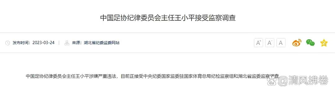 足协原纪律委员会主任王小平一审获刑10年6个月罚70万的简单介绍