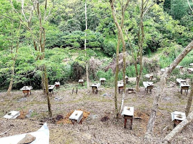 关于山西贵州十个大胆切割，割出一条决胜之路的信息